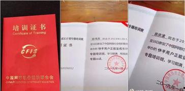 ks各大网红最新爆料,揭秘KS平台最新热门事件及幕后真相！